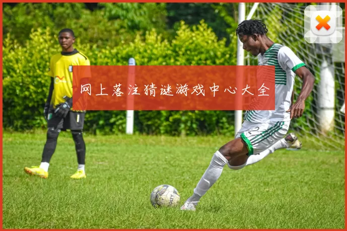 网上落注猜谜游戏中心大全