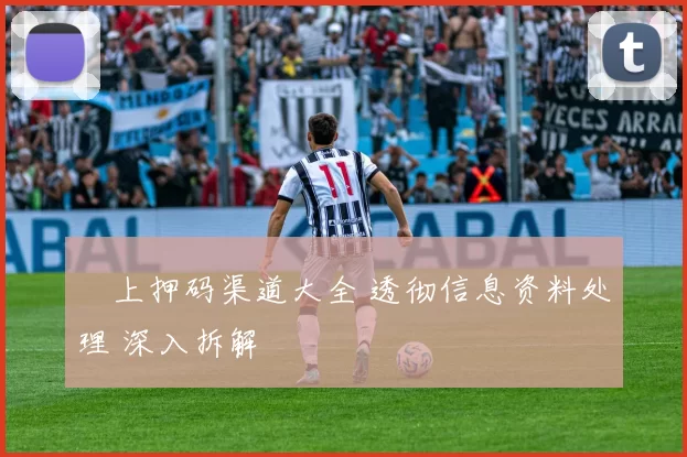 網上押码渠道大全 透彻信息资料处理 深入拆解