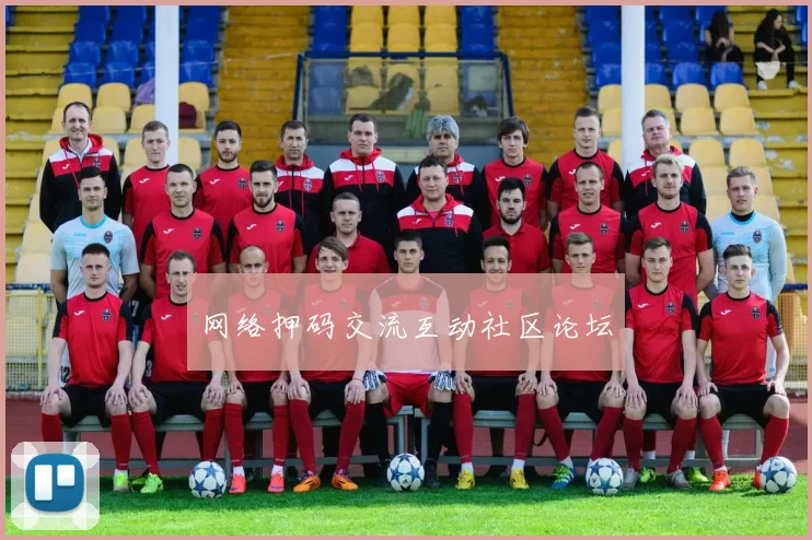 网络押码交流互动社区论坛