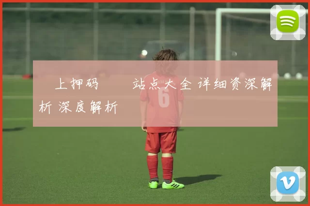 網上押码娛樂站点大全 详细资深解析 深度解析