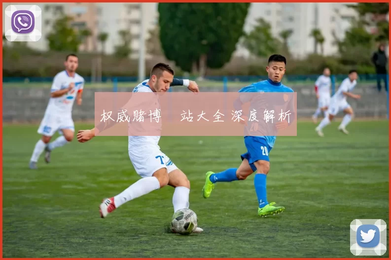 权威赌博網站大全 深度解析