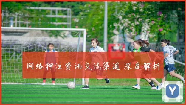 网络押注资讯交流渠道 深度解析