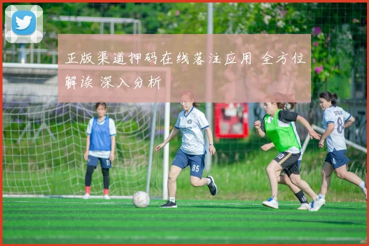 正版渠道押码在线落注应用 全方位解读 深入分析