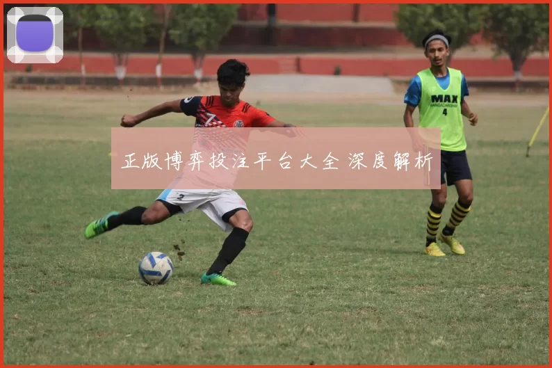 正版博弈投注平台大全 深度解析