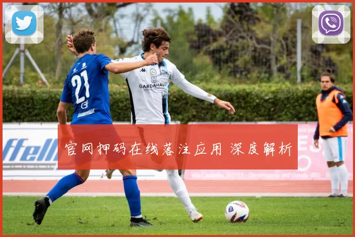 官网押码在线落注应用 深度解析