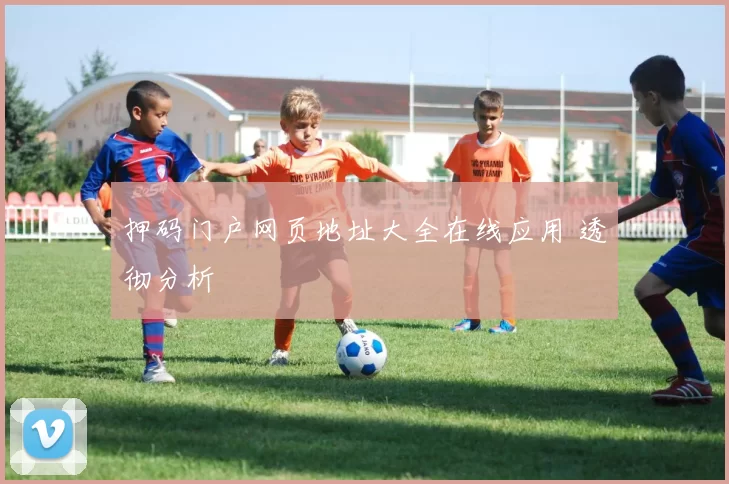 押码门户网页地址大全在线应用 透彻分析