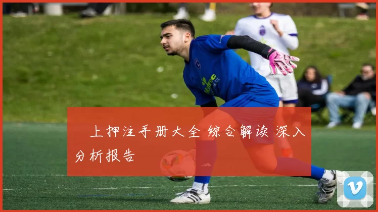 網上押注手册大全 综合解读 深入分析报告