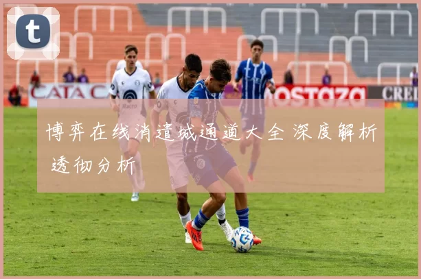 博弈在线消遣城通道大全 深度解析 透彻分析