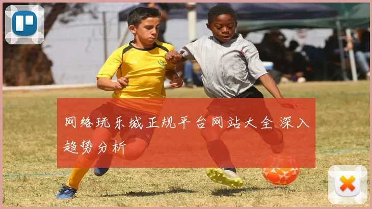 网络玩乐城正规平台网站大全 深入趋势分析