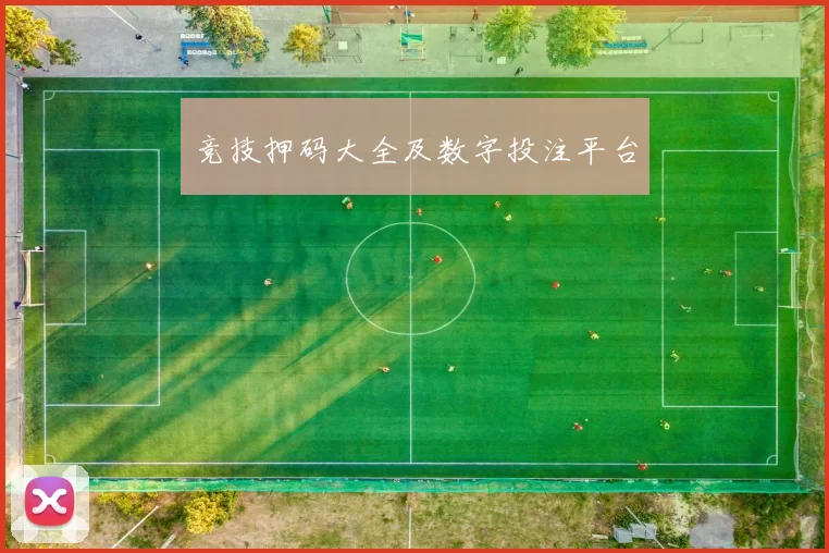 竞技押码大全及数字投注平台