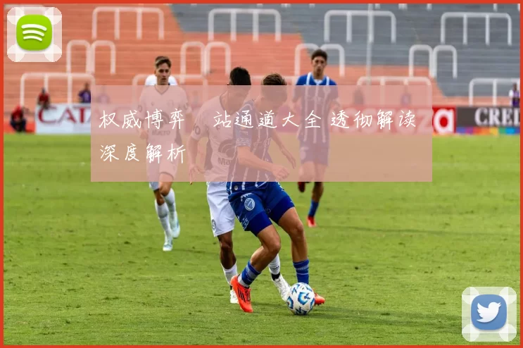 权威博弈網站通道大全 透彻解读 深度解析