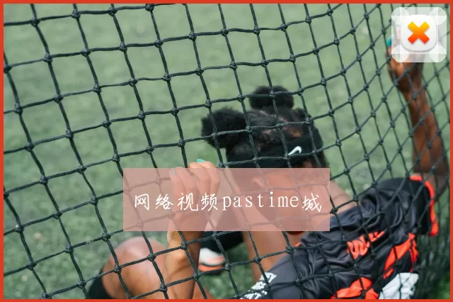 网络视频pastime城