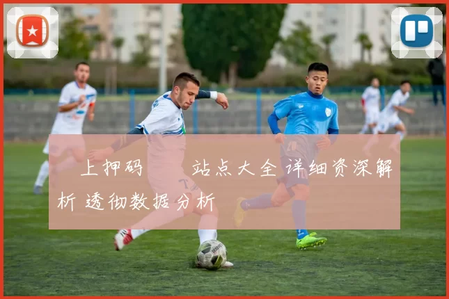 網上押码娛樂站点大全 详细资深解析 透彻数据分析