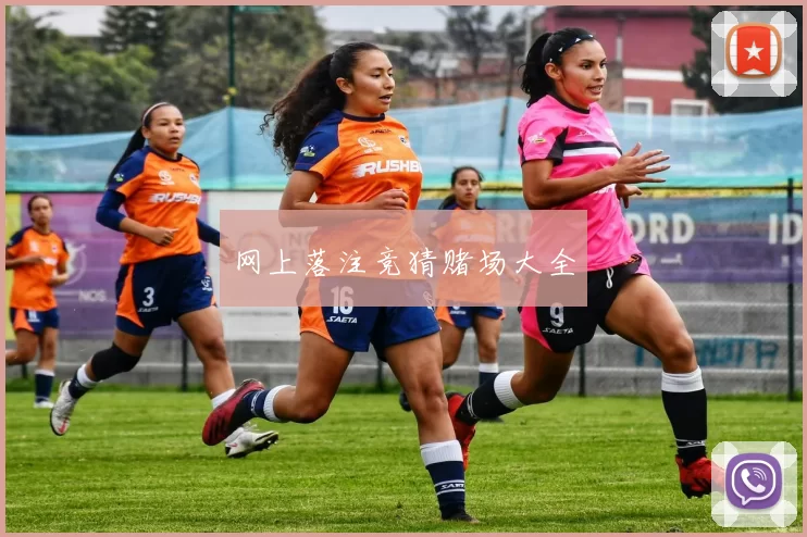 网上落注竞猜赌场大全