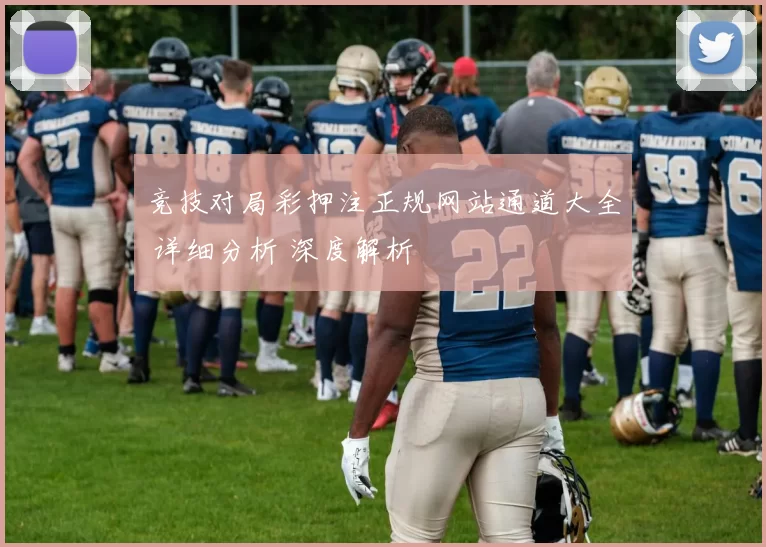 竞技对局彩押注正规网站通道大全 详细分析 深度解析