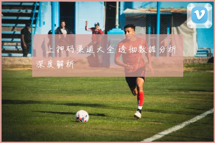 網上押码渠道大全 透彻数据分析 深度解析